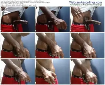 stripchat-phbbcsham-11-14-2024-20-06-55