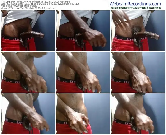 stripchat-phbbcsham-11-14-2024-20-06-55