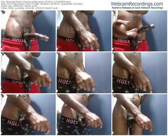 stripchat-phbbcsham-11-14-2024-20-39-58