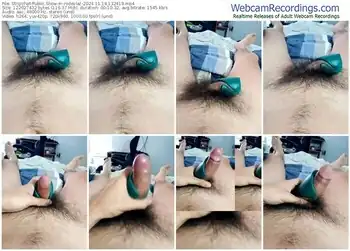 stripchat-rodovlaz-11-14-2024-13-24-19