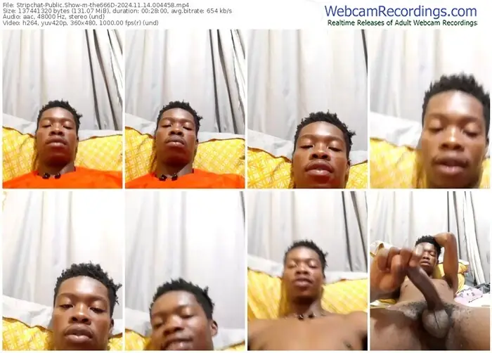 stripchat-the666d-11-14-2024-00-44-58