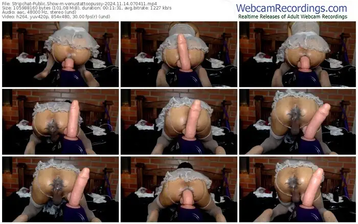 stripchat-venustattoopussy-11-14-2024-07-04-11