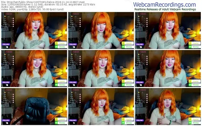 stripchat-hotnwildalice-11-14-2024-11-48-27