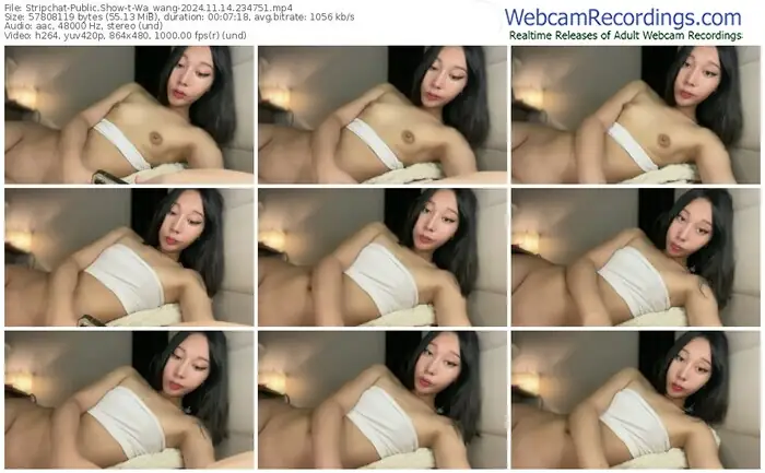 stripchat-wa_wang-11-14-2024-23-47-51
