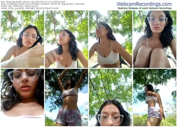 stripchat-ary-18-11-15-2024-14-45-33