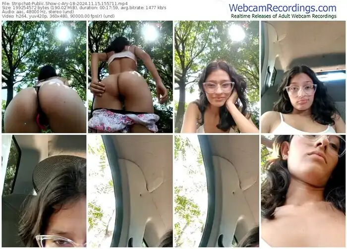 stripchat-ary-18-11-15-2024-15-57-11