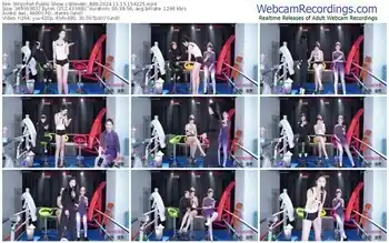 stripchat-blender_888-11-15-2024-15-42-25