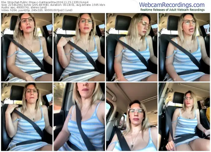 stripchat-gatitacarlita-11-15-2024-13-35-19