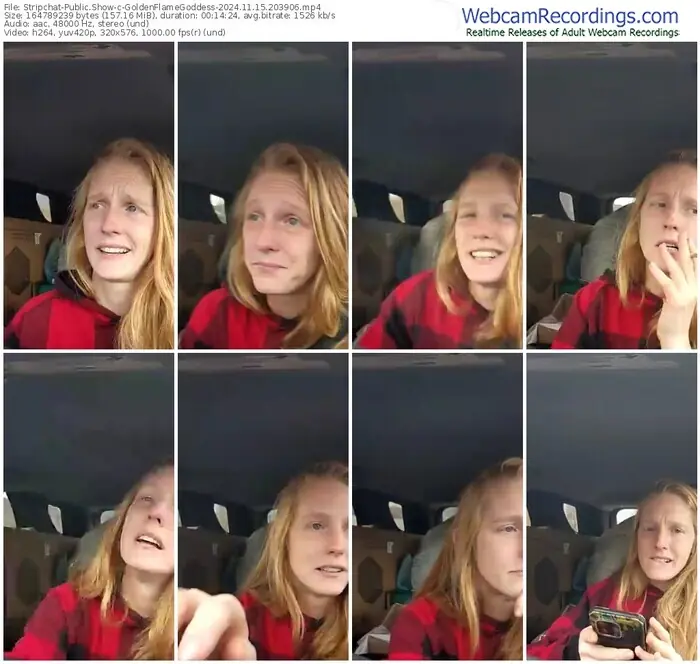 stripchat-goldenflamegoddess-11-15-2024-20-39-06
