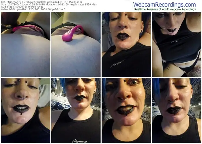stripchat-pinkthehawk-11-15-2024-11-52-08