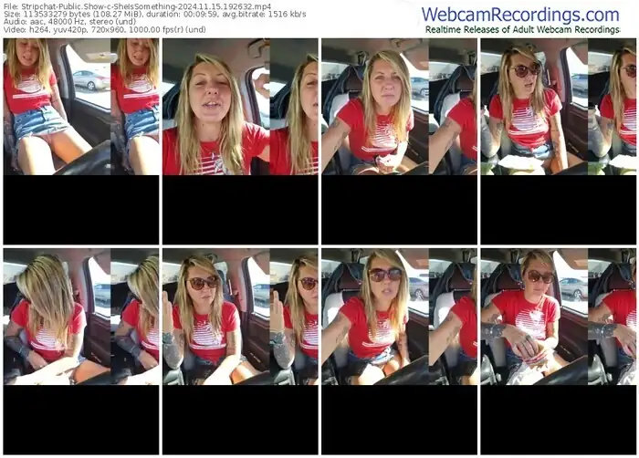 stripchat-sheissomething-11-15-2024-19-26-32
