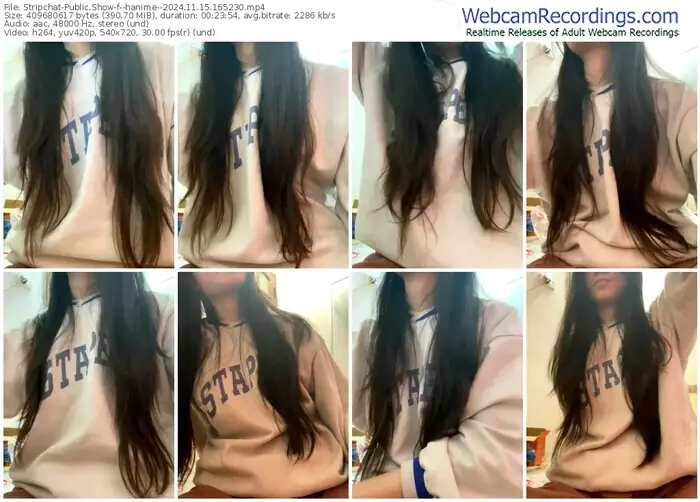 stripchat--hanime--11-15-2024-16-52-30