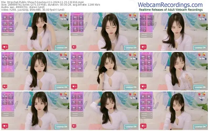 stripchat-gougou-111-11-15-2024-13-19-16