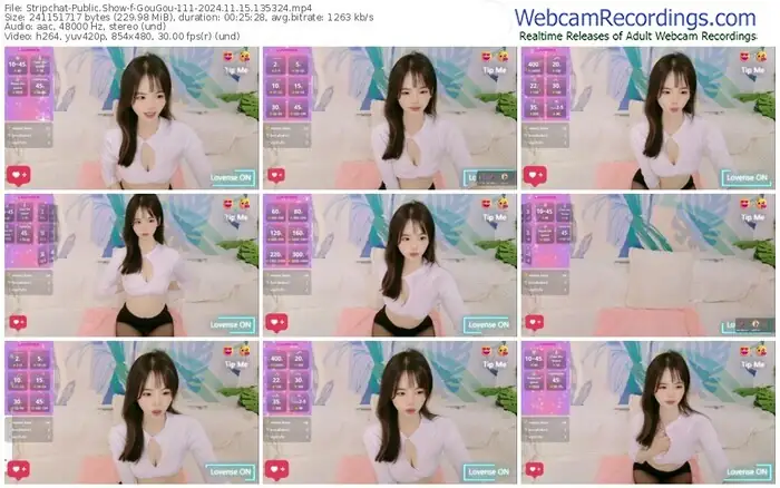 stripchat-gougou-111-11-15-2024-13-53-24