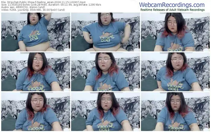 stripchat-nadine_asian-11-15-2024-14-19-07