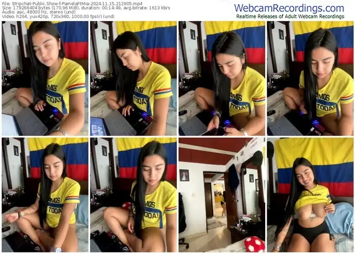 stripchat-pamelaftmia-11-15-2024-21-29-05