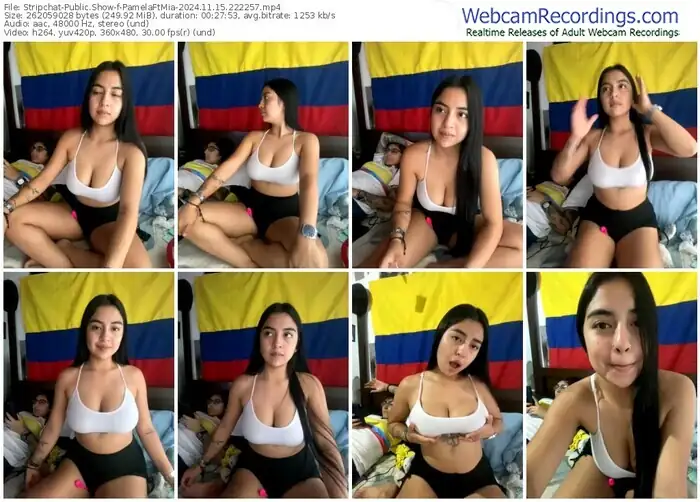 stripchat-pamelaftmia-11-15-2024-22-22-57