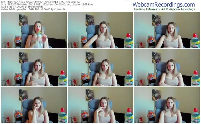 stripchat-perfect_girll-11-15-2024-13-04-52