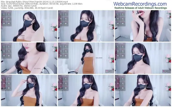 stripchat-pimchanok-11-15-2024-13-55-06