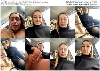 stripchat-stasywood-11-15-2024-06-01-00