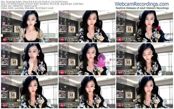 stripchat-w-e-n-123-11-15-2024-03-13-43