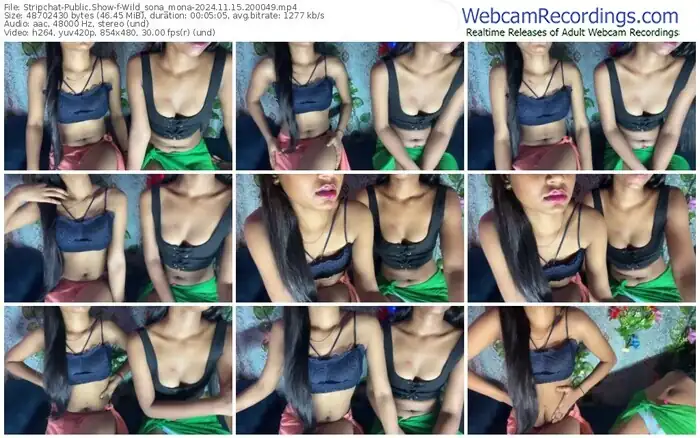 stripchat-wild_sona_mona-11-15-2024-20-00-49