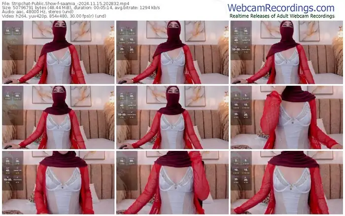 stripchat-saamia_-11-15-2024-20-28-32