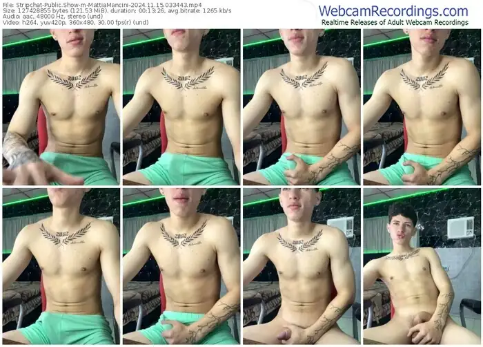 stripchat-mattiamancini-11-15-2024-03-34-43
