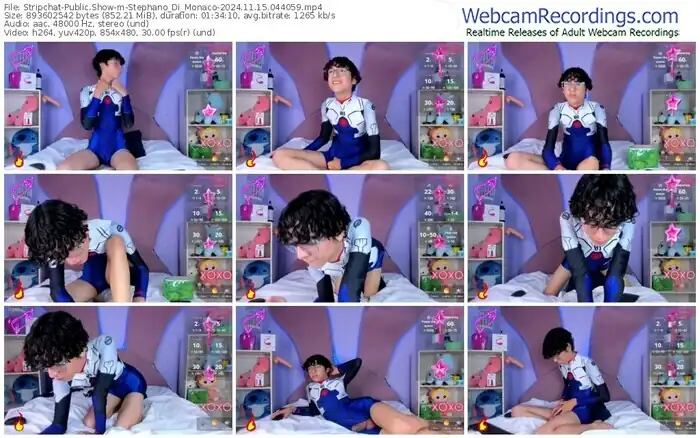 stripchat-stephano_di_monaco-11-15-2024-04-40-59