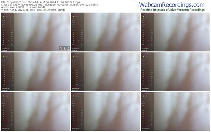 stripchat-alal-166-11-16-2024-16-57-47