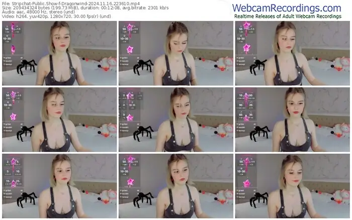 stripchat-dragonwind-11-16-2024-22-36-10