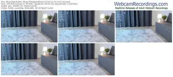 stripchat-meghanelson-11-16-2024-14-17-29