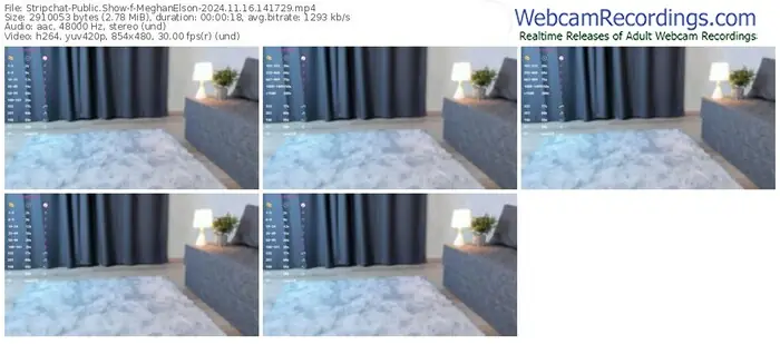 stripchat-meghanelson-11-16-2024-14-17-29