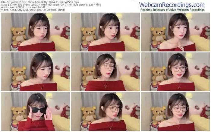 stripchat-onekitty-11-16-2024-14-25-39