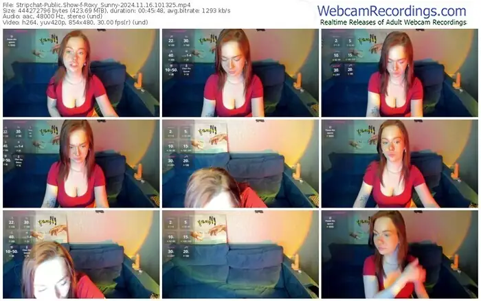 stripchat-roxy_sunny-11-16-2024-10-13-25