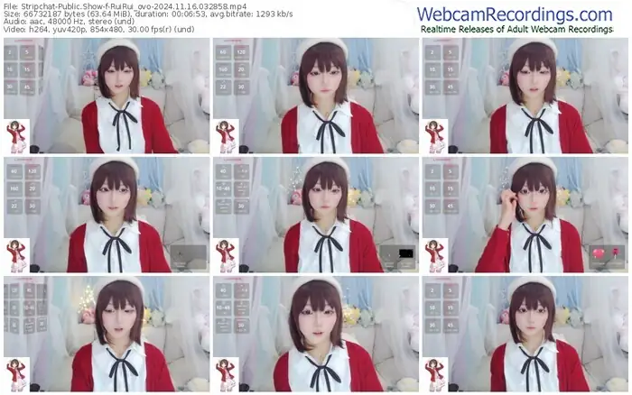 stripchat-ruirui_ovo-11-16-2024-03-28-58