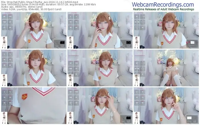 stripchat-ruirui_ovo-11-16-2024-13-45-00