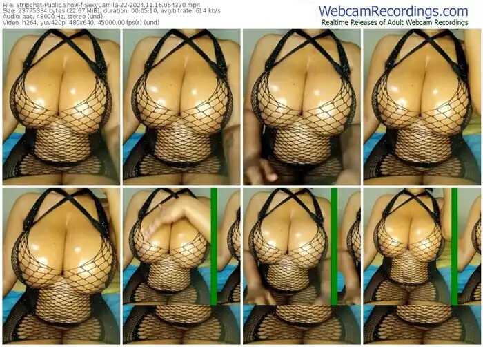 stripchat-sexycamila-22-11-16-2024-06-43-30