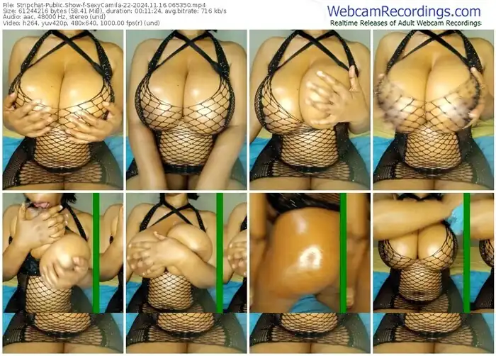 stripchat-sexycamila-22-11-16-2024-06-53-50