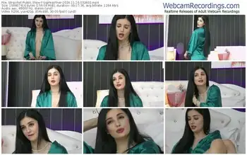 stripchat-sophiavilner-11-16-2024-03-26-02