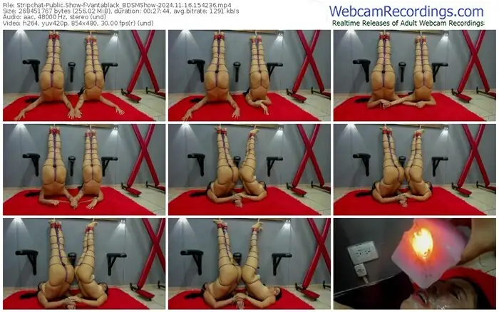 stripchat-vantablack_bdsmshow-11-16-2024-15-42-36