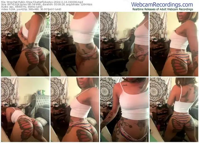 stripchat-butterflybootyy-11-16-2024-19-00-36