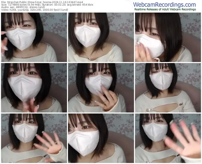 stripchat-mei_hosina-11-16-2024-16-34-47