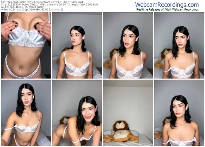 stripchat-thebestass19-11-16-2024-01-54-55