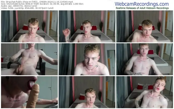 stripchat-theo__green-11-16-2024-12-45-40