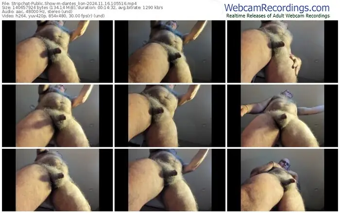 stripchat-dantes_lion-11-16-2024-10-55-16
