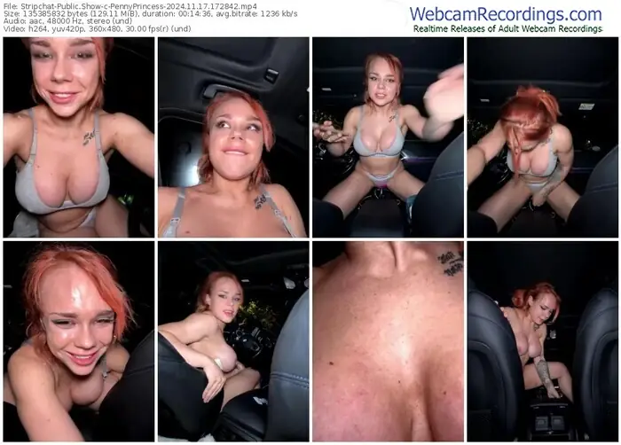 stripchat-pennyprincess-11-17-2024-17-28-42