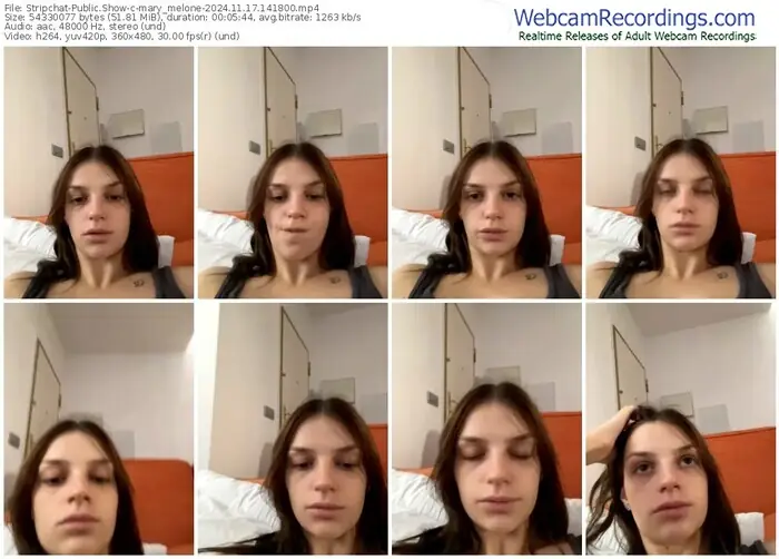stripchat-mary_melone-11-17-2024-14-18-00