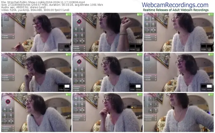 stripchat-nokky3194-11-17-2024-16-36-06