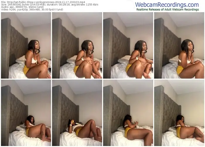 stripchat-pinkypromises-11-17-2024-23-31-03